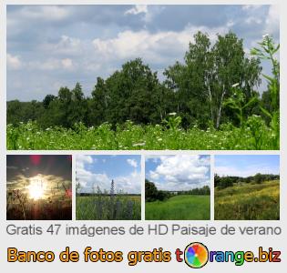 Banco de imagen tOrange ofrece fotos gratis de la sección:  paisaje-de-verano