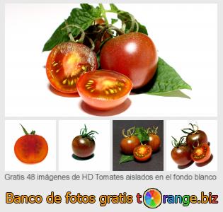 Banco de imagen tOrange ofrece fotos gratis de la sección:  tomates-aislados-en-el-fondo-blanco