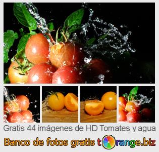 Banco de imagen tOrange ofrece fotos gratis de la sección:  tomates-y-agua
