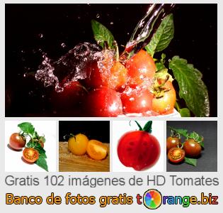 Banco de imagen tOrange ofrece fotos gratis de la sección:  tomates