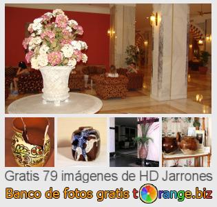 Banco de imagen tOrange ofrece fotos gratis de la sección:  jarrones