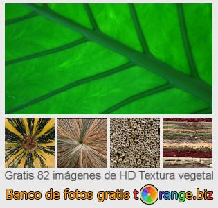 Banco de imagen tOrange ofrece fotos gratis de la sección:  textura-vegetal