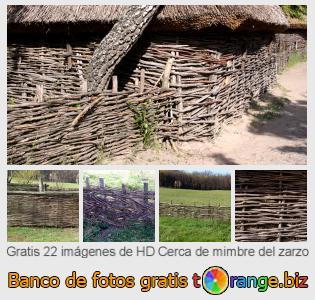 Banco de imagen tOrange ofrece fotos gratis de la sección:  cerca-de-mimbre-del-zarzo
