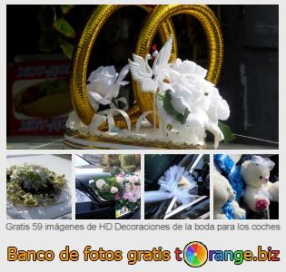 Banco de imagen tOrange ofrece fotos gratis de la sección:  decoraciones-de-la-boda-para-los-coches