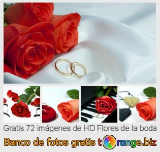 Banco de imagen tOrange ofrece fotos gratis de la sección:  flores-de-la-boda