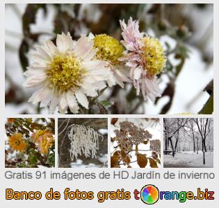 Banco de imagen tOrange ofrece fotos gratis de la sección:  jardín-de-invierno