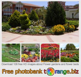 images free photo bank tOrange offers free photos from the section:  flower-gardens-flower-beds