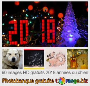 Banque d'images tOrange offre des photos libres de la section:  2018-années-du-chien