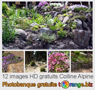 Banque d'images tOrange offre des photos libres de la section:  colline-alpine