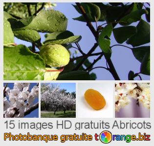 Banque d'images tOrange offre des photos libres de la section:  abricots