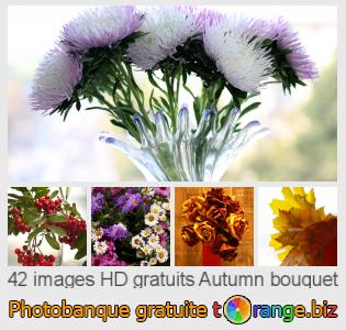 Banque d'images tOrange offre des photos libres de la section:  autumn-bouquet