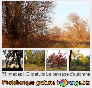 Banque d'images tOrange offre des photos libres de la section:  le-paysage-dautomne