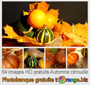 Banque d'images tOrange offre des photos libres de la section:  automne-citrouille