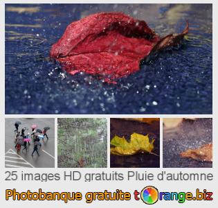 Banque d'images tOrange offre des photos libres de la section:  pluie-dautomne