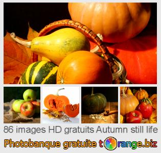 Banque d'images tOrange offre des photos libres de la section:  autumn-still-life