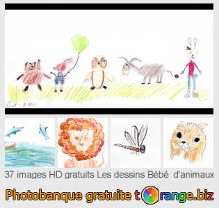 Banque d'images tOrange offre des photos libres de la section:  les-dessins-bébé-danimaux