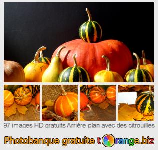 Banque d'images tOrange offre des photos libres de la section:  arrière-plan-avec-des-citrouilles