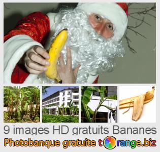 Banque d'images tOrange offre des photos libres de la section:  bananes