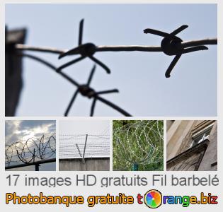 Banque d'images tOrange offre des photos libres de la section:  fil-barbelé