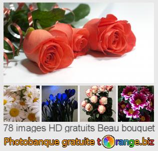 Banque d'images tOrange offre des photos libres de la section:  beau-bouquet