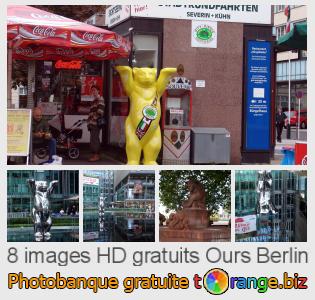 Banque d'images tOrange offre des photos libres de la section:  ours-berlin