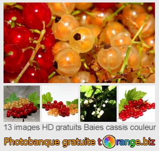 Banque d'images tOrange offre des photos libres de la section:  baies-cassis-couleur