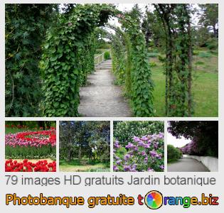 Banque d'images tOrange offre des photos libres de la section:  jardin-botanique