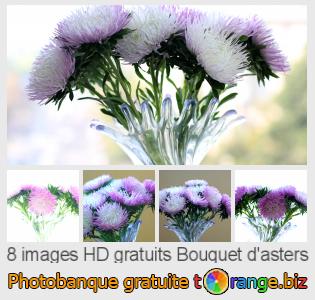 Banque d'images tOrange offre des photos libres de la section:  bouquet-dasters