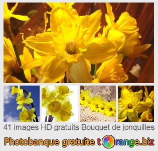Banque d'images tOrange offre des photos libres de la section:  bouquet-de-jonquilles