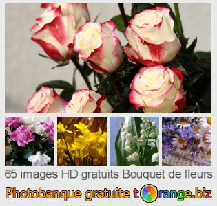 Banque d'images tOrange offre des photos libres de la section:  bouquet-de-fleurs