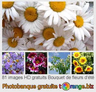 Banque d'images tOrange offre des photos libres de la section:  bouquet-de-fleurs-dété