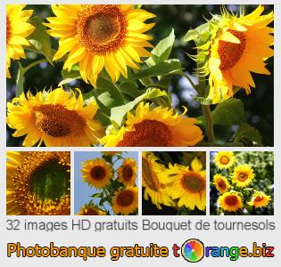 Banque d'images tOrange offre des photos libres de la section:  bouquet-de-tournesols