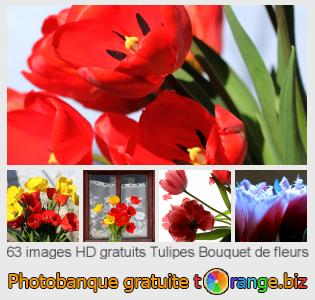Banque d'images tOrange offre des photos libres de la section:  tulipes-bouquet-de-fleurs