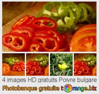 Banque d'images tOrange offre des photos libres de la section:  poivre-bulgare