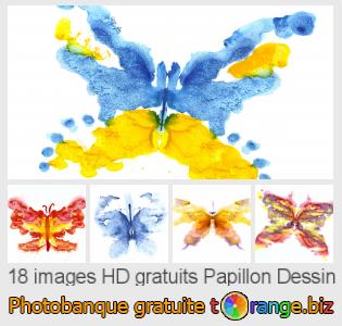 Banque d'images tOrange offre des photos libres de la section:  papillon-dessin