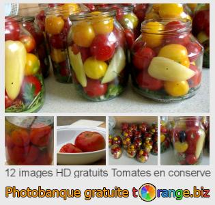 Banque d'images tOrange offre des photos libres de la section:  tomates-en-conserve