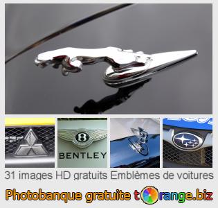 Banque d'images tOrange offre des photos libres de la section:  emblèmes-de-voitures