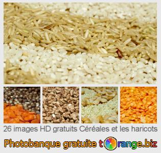 Banque d'images tOrange offre des photos libres de la section:  céréales-et-les-haricots