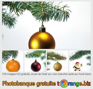 Banque d'images tOrange offre des photos libres de la section:  jouet-de-noël-sur-une-branche-isolé-sur-fond-blanc
