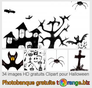 Banque d'images tOrange offre des photos libres de la section:  clipart-pour-halloween