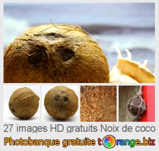 Banque d'images tOrange offre des photos libres de la section:  noix-de-coco