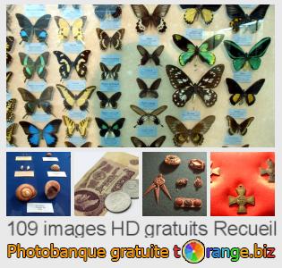Banque d'images tOrange offre des photos libres de la section:  recueil