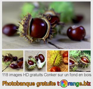Banque d'images tOrange offre des photos libres de la section:  conker-sur-un-fond-en-bois