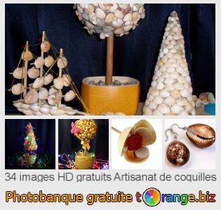 Banque d'images tOrange offre des photos libres de la section:  artisanat-de-coquilles