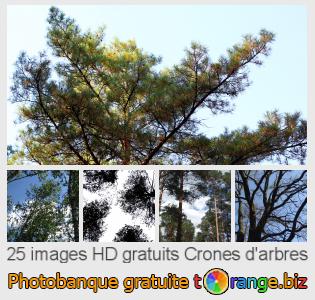 Banque d'images tOrange offre des photos libres de la section:  crones-darbres