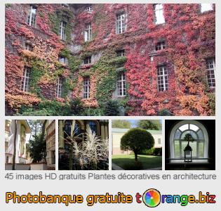 Banque d'images tOrange offre des photos libres de la section:  plantes-décoratives-en-architecture