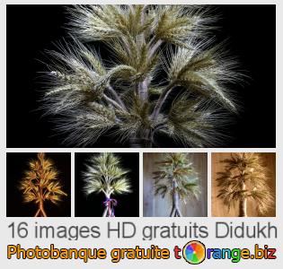 Banque d'images tOrange offre des photos libres de la section:  didukh