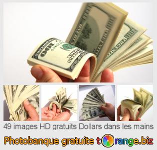 Banque d'images tOrange offre des photos libres de la section:  dollars-dans-les-mains