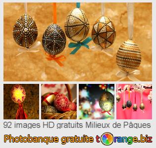 Banque d'images tOrange offre des photos libres de la section:  milieux-de-pâques