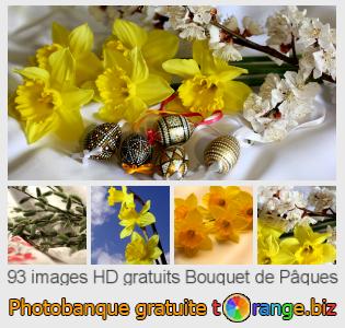 Banque d'images tOrange offre des photos libres de la section:  bouquet-de-pâques